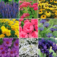 Pre-Planned Gardens